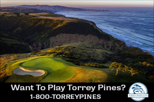 New TP Ad
